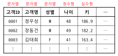 데이터프레임의 시각적 예시